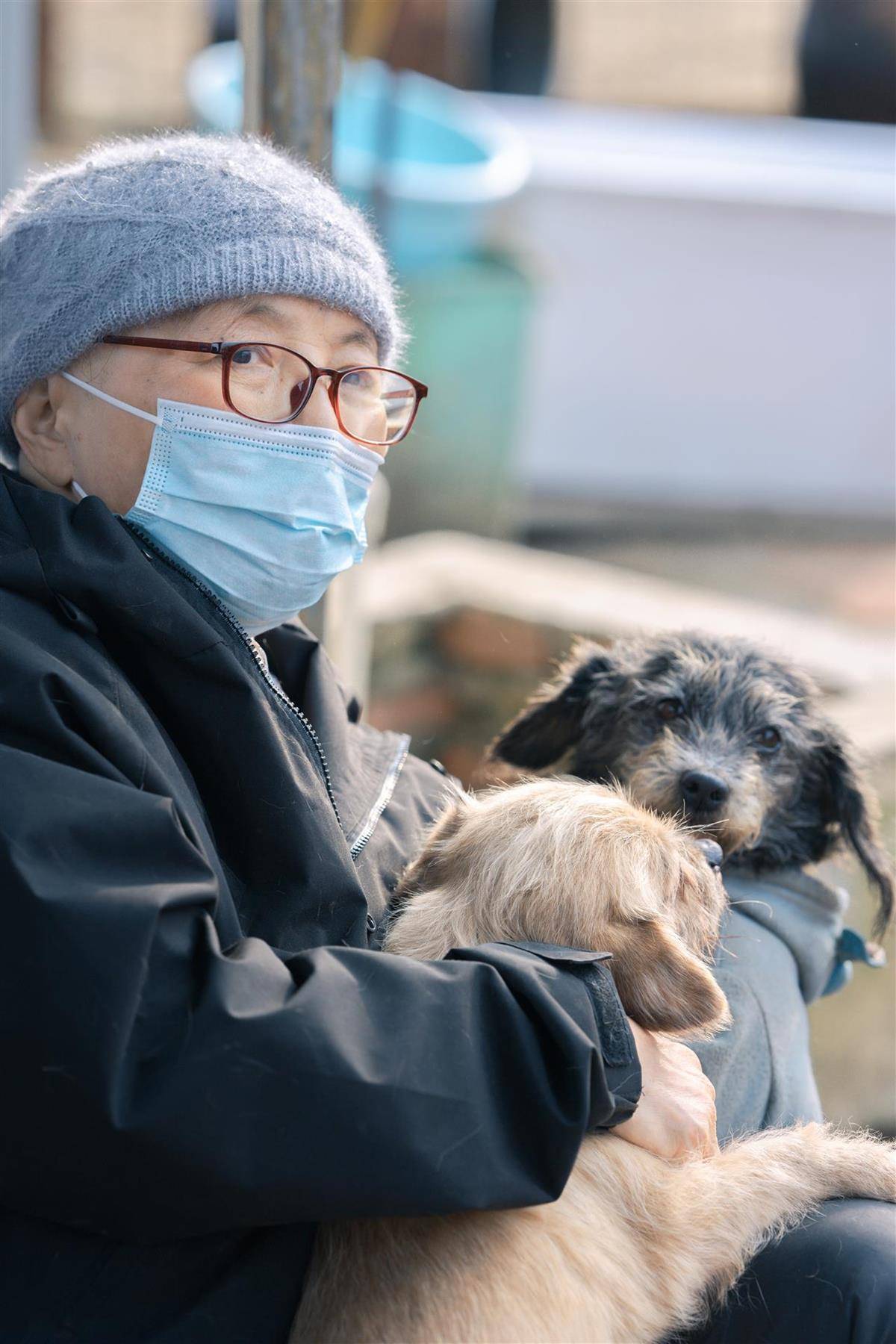 合肥卖房救助流浪狗的魏阿姨离世<strong></p>
<p>理财会议</strong>，病中仍然惦记着基地的600只流浪狗，工人：不敢相信世上还有这样执着的人