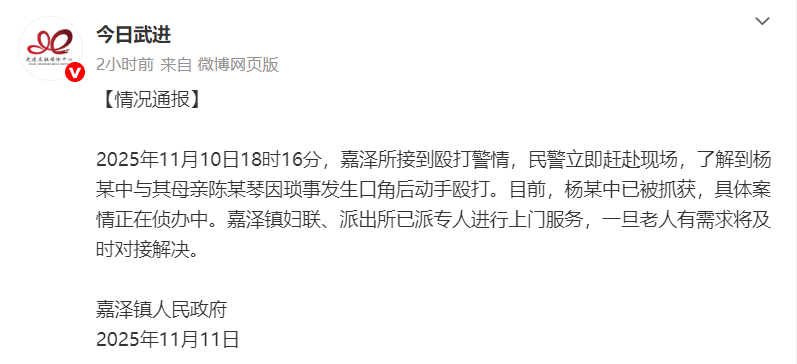 全网愤怒！男子将93岁母亲摁倒在地殴打<strong></p>
<p>猪理财</strong>，老人惨叫着躲进厨房…官方最新通报