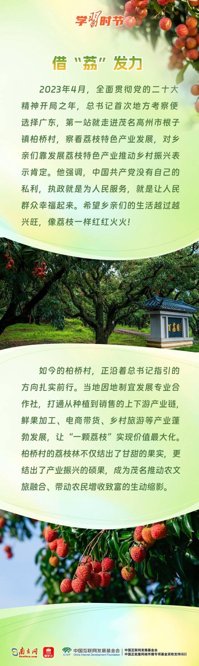 学习时节｜从荔枝到金柚<strong></p>
<p>猪理财</strong>，总书记的甜美祝愿