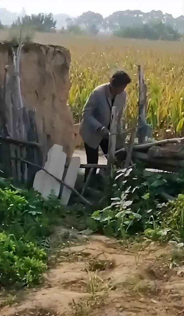 陕西一女子疑因拍亲姑姑偷玉米遭姑父棍杀<strong></p>
<p>如何网上理财</strong>，邻居欲报警也遇害