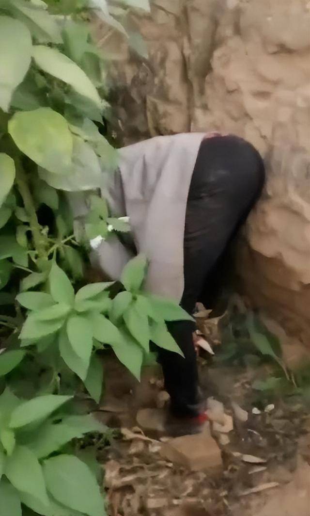 陕西一女子疑因拍亲姑姑偷玉米遭姑父棍杀<strong></p>
<p>如何网上理财</strong>，邻居欲报警也遇害