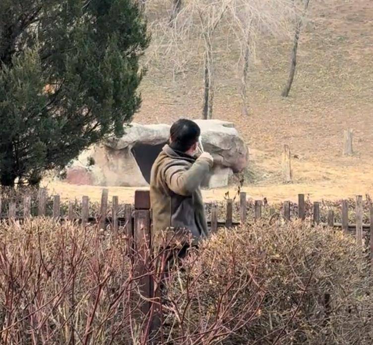 沈阳一男子动物园内用弹弓射老虎<strong></p>
<p>公司理财课程</strong>，目击者称其“填装了弹丸”，打完后老虎爬起来了，园方：正在核实情况