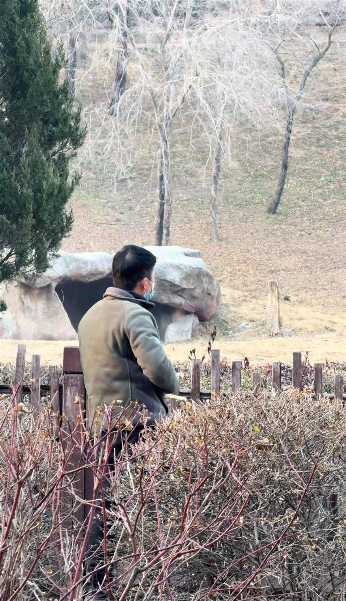 沈阳一男子动物园内用弹弓射老虎<strong></p>
<p>公司理财课程</strong>，目击者称其“填装了弹丸”，打完后老虎爬起来了，园方：正在核实情况