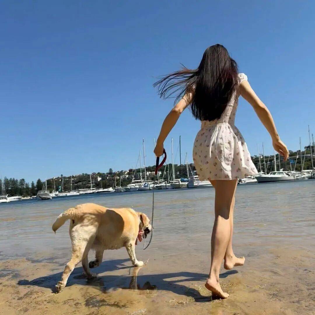 第一批丁克老后<strong></p>
<p>公司理财课程</strong>，“伴侣能陪一程，但最后都要靠自己”