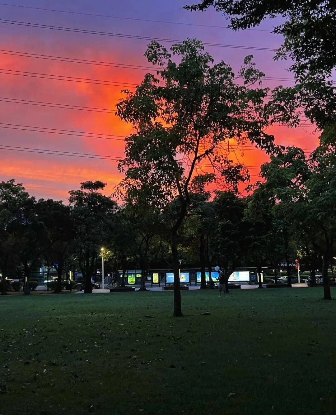 第一批丁克老后<strong></p>
<p>公司理财课程</strong>，“伴侣能陪一程，但最后都要靠自己”