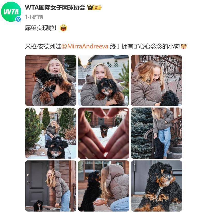 “小米辣”终于有了自己的小狗！曾说养狗是赢球的动力<strong></p>
<p>在美国理财</strong>，WTA官方发“贺信”：愿望实现啦！