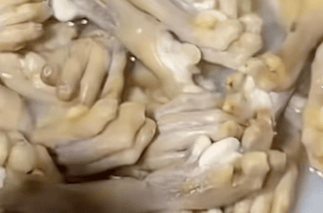 湖南一烧烤店直播煮动物爪子引争议<strong></p>
<p>金融理财安全吗</strong>，涉事商家回应