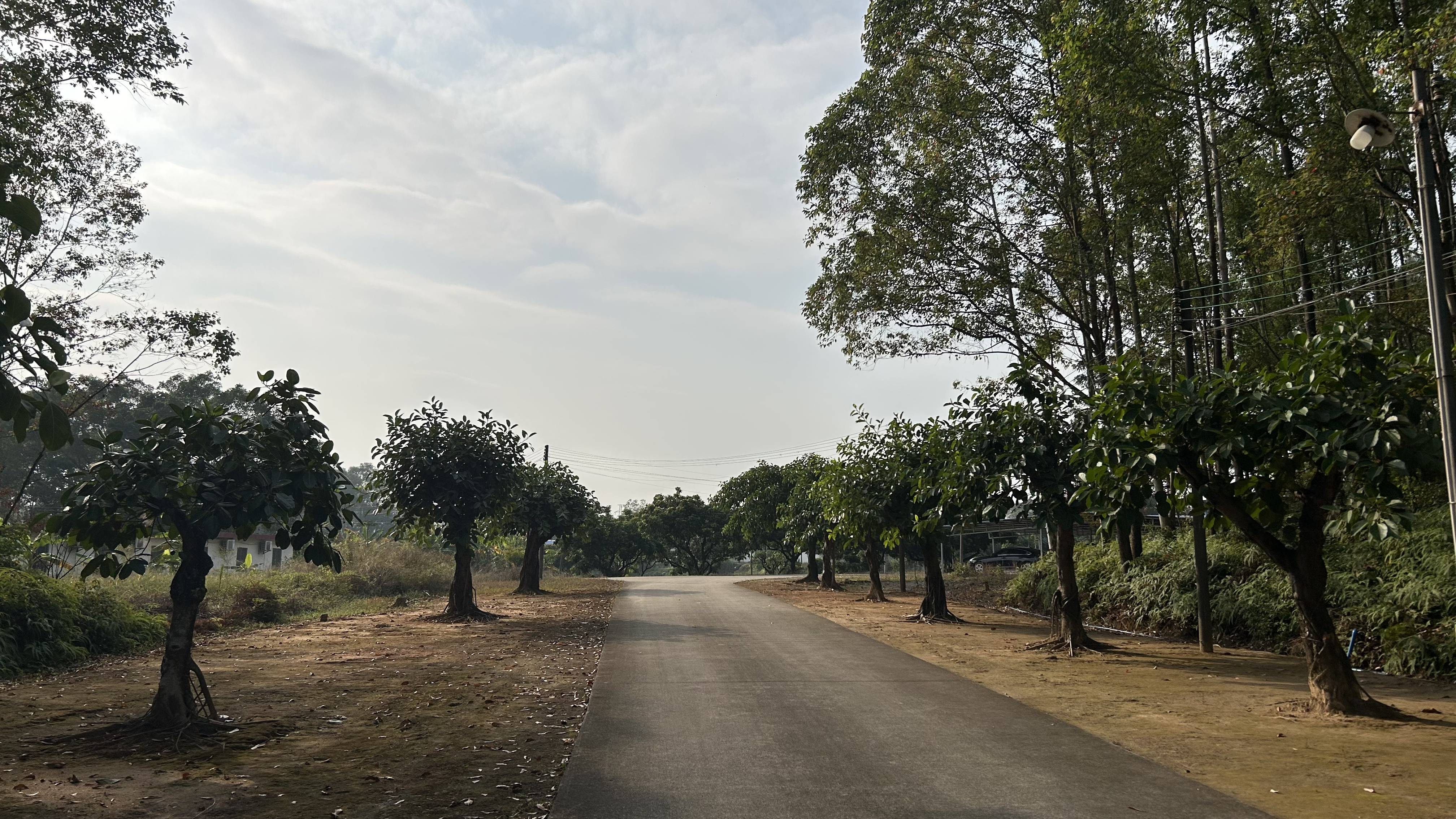 有价无猴！实验猴价格暴涨<strong></p>
<p>理财收益排名</strong>，有猴场明年的猴都被订光，繁殖率已跟不上｜调查