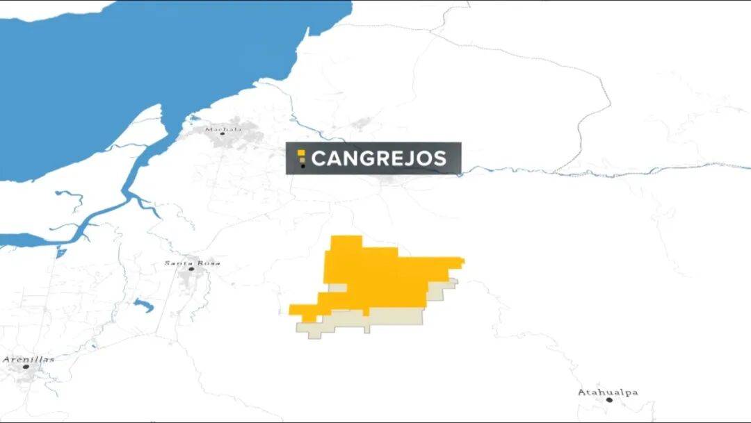 掏出71亿元现金<strong></p>
<p>理财助手</strong>，河南巨头拿下国外四座金矿！