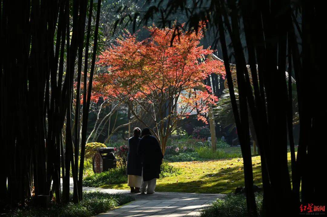 我国已进入拉尼娜状态<strong></p>
<p>投资理财介绍</strong>！四川今冬或“前暖后冷”