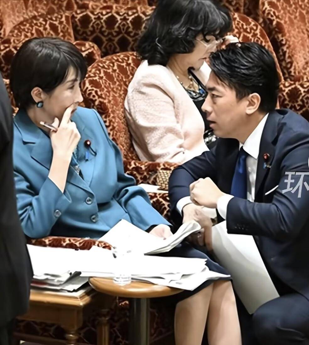 小泉进次郎跪地与高市早苗交谈<strong></p>
<p>投资理财介绍</strong>，企图为高市发声，遭在野党强烈嘘声