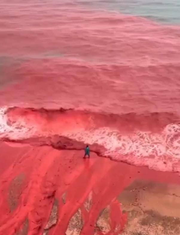 罕见！伊朗霍尔木兹岛遭遇强降雨<strong></p>
<p>理财卷</strong>，部分海域变成“血色海洋”