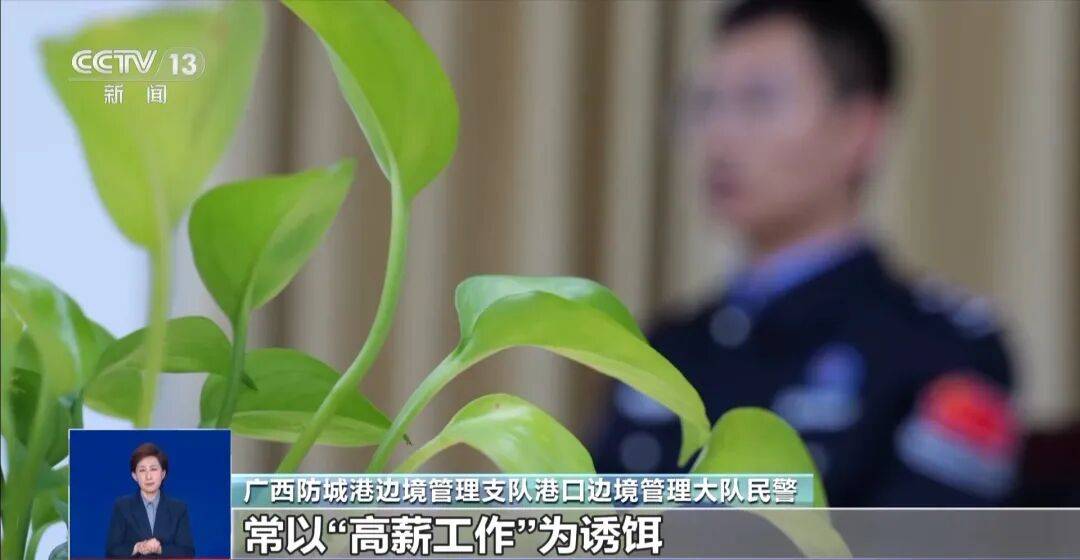 央视披露:男子在网吧厕所墙上看到“高薪日结5000-20000”广告<strong></p>
<p>理财卷</strong>,即将出境时被警方拦下