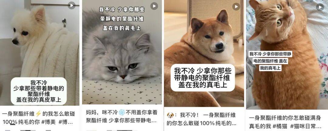 “聚酯纤维衣服是旧塑料瓶做的”<strong></p>
<p>理财卷</strong>，这今冬最歹毒造谣看得人生气